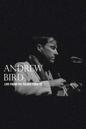 Andrew Bird: Live From The Palace Theatre's poster