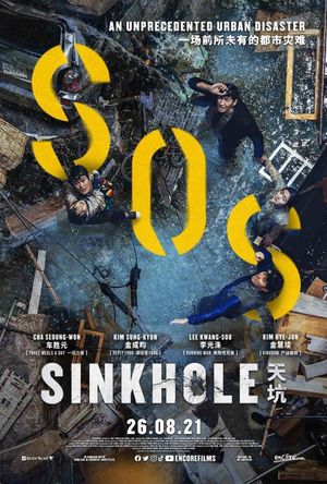 Sinkhole's poster