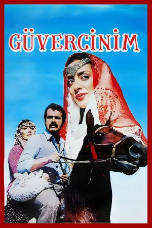 Güvercinim's poster