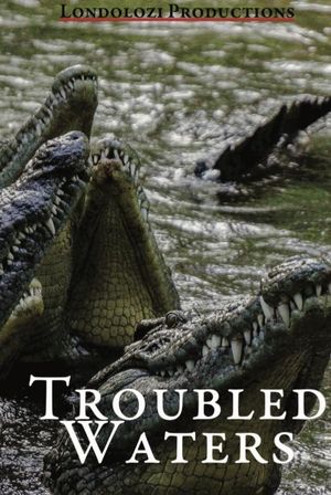 Troubled Waters's poster