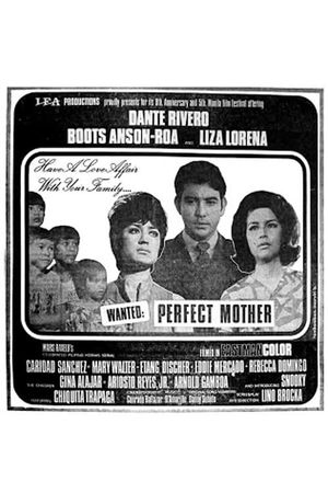 Wanted: Perfect Mother's poster