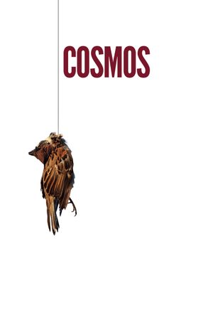 Cosmos's poster