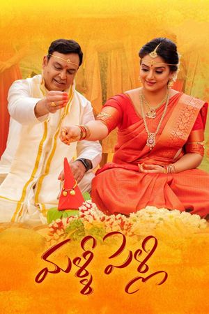 Malli Pelli's poster
