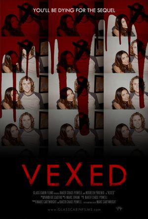 Vexed's poster