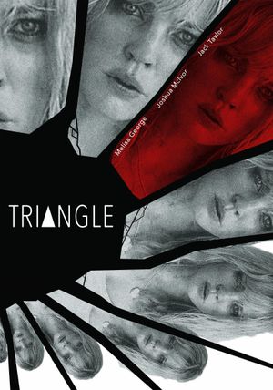 Triangle's poster