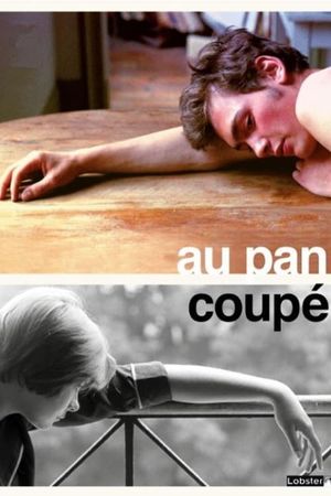 Au pan coupé's poster
