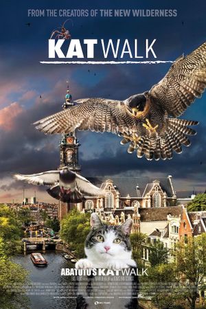 Katwalk's poster