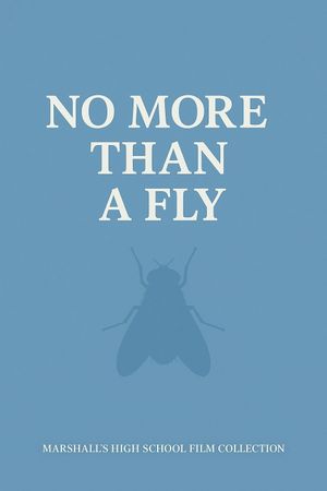 NO MORE THAN A FLY's poster