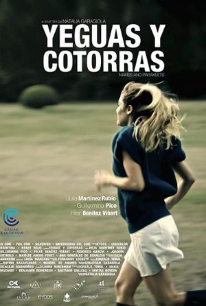 Yeguas y cotorras's poster