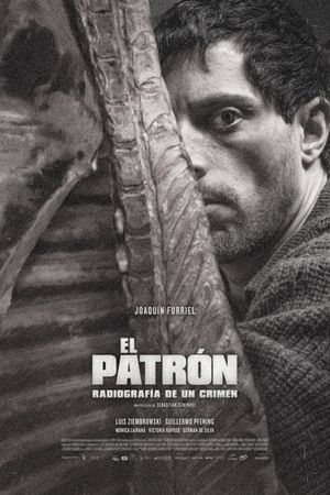 The Boss, Anatomy of a Crime's poster