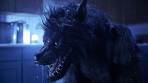 Werewolves's poster