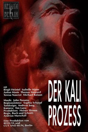 Der Kali Prozess's poster