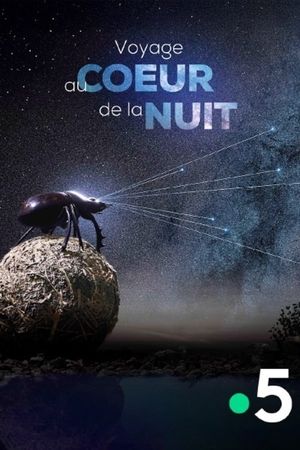 Voyage au coeur de la nuit's poster