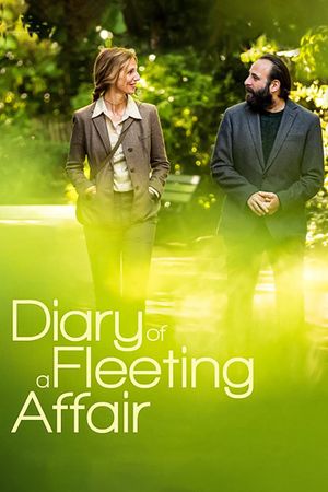Diary of a Fleeting Affair's poster