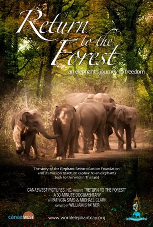 Return to the Forest's poster