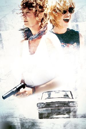 Thelma & Louise's poster