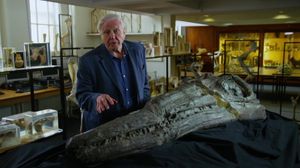 Attenborough and the Sea Dragon's poster