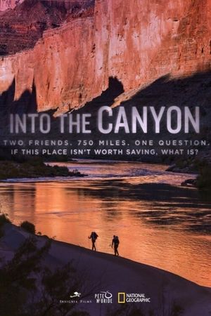 Into the Canyon's poster