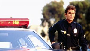 Unlawful Entry's poster