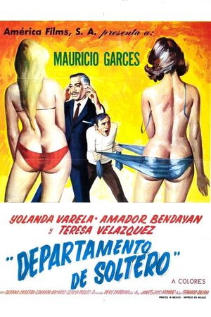 Departamento de soltero's poster image