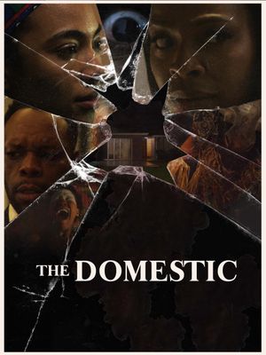 The Domestic's poster