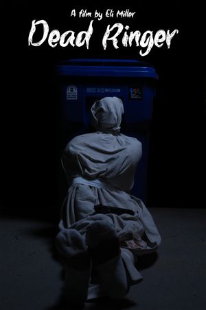 Dead Ringer's poster