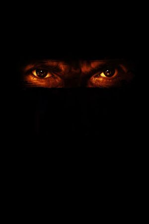 The Intruder's poster