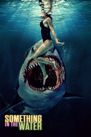 Something in the Water's poster