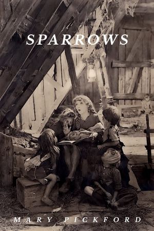 Sparrows's poster