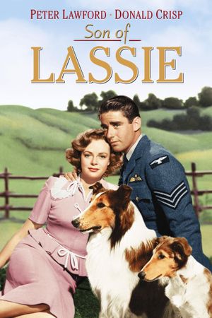 Son of Lassie's poster