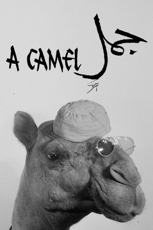 A Camel's poster