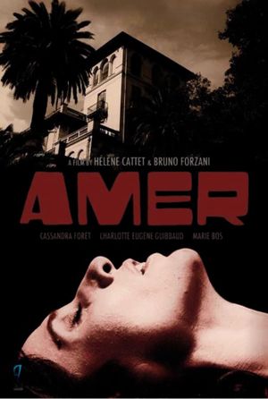 Amer's poster