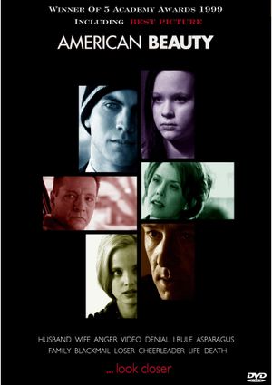 American Beauty's poster