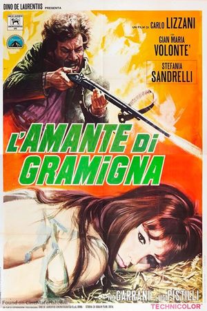 The Bandit's poster