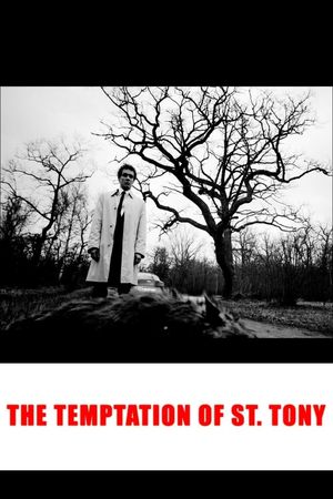 The Temptation of St. Tony's poster