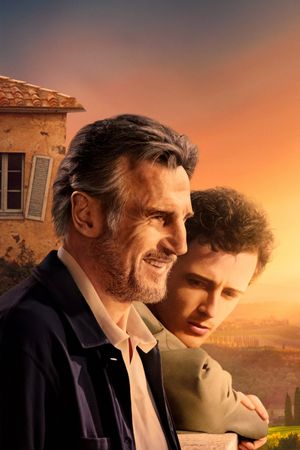 Made in Italy's poster