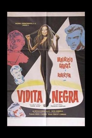 Vidita negra's poster