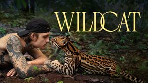 Wildcat's poster