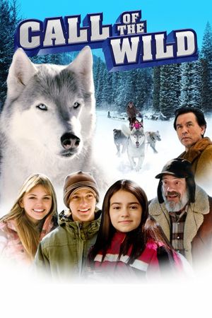 Call of the Wild's poster