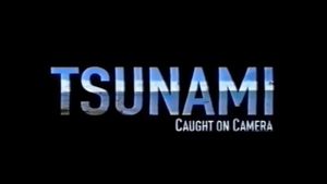 Tsunami: Caught on Camera's poster