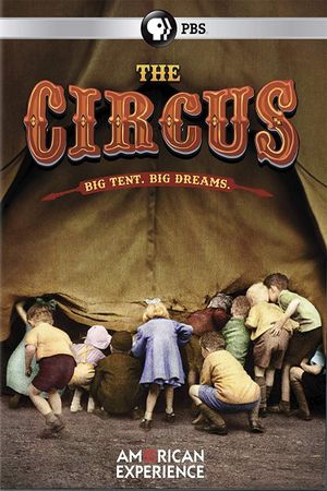 The Circus's poster