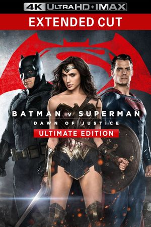 Batman v Superman: Dawn of Justice's poster