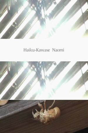Haiku's poster