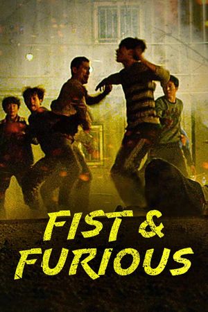 Fist & Furious's poster
