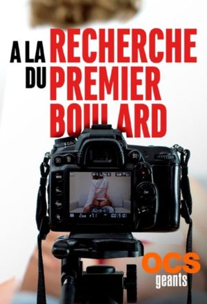 Raiders of the first porn's poster