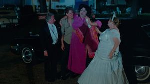 Polyester's poster