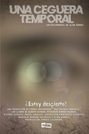 Una Ceguera Temporal's poster