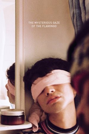 The Mysterious Gaze of the Flamingo's poster