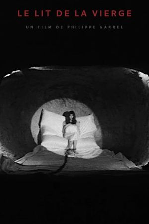 The Virgin's Bed's poster
