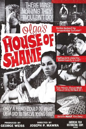 Olga's House of Shame's poster